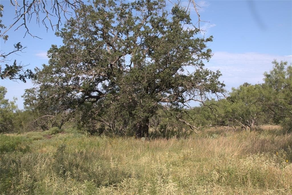 10.74 acres in McCulloch County gallery image 3