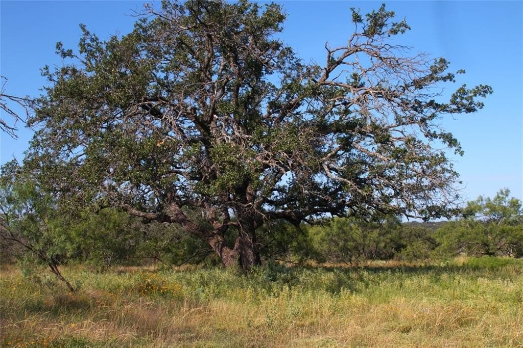 10.74 acres in McCulloch County