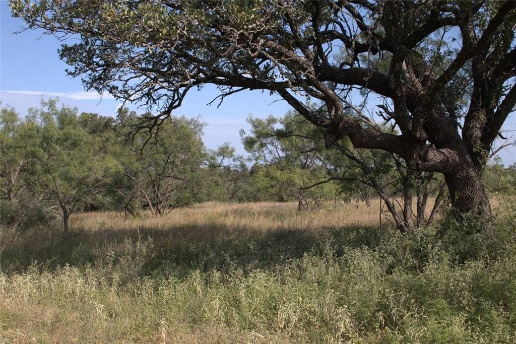 10.74 acres in McCulloch County gallery image 4
