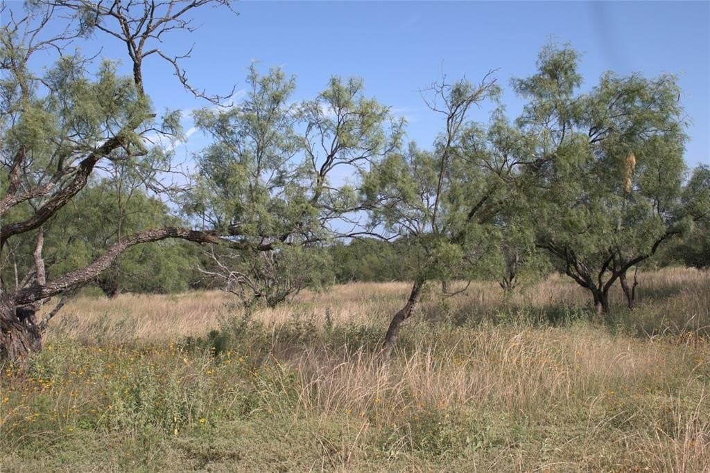 10.74 acres in McCulloch County gallery image 2