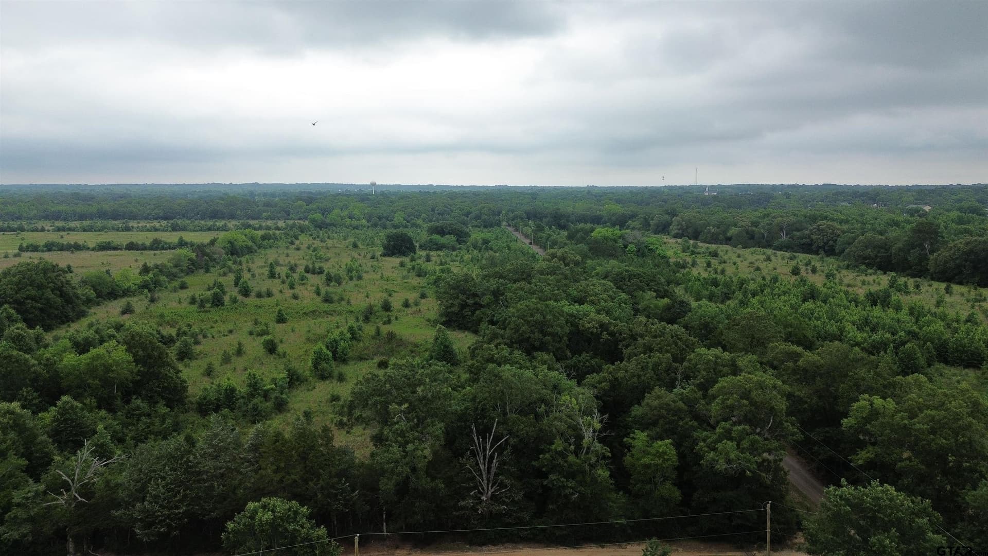 27.92 acres in Wood County gallery image 3