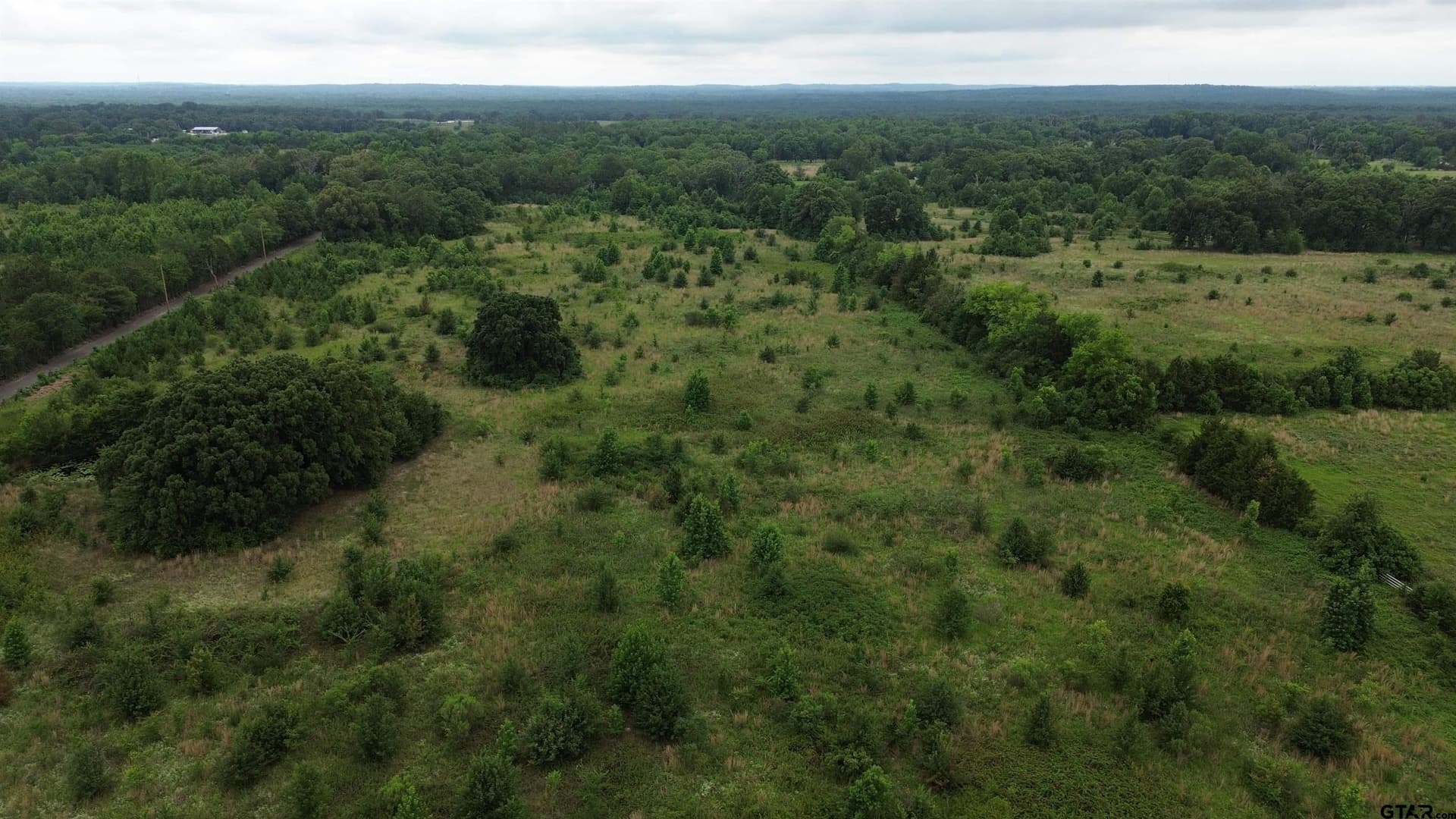 27.92 acres in Wood County gallery image 4
