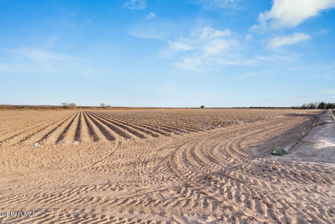 30 acres in El Paso County featured view