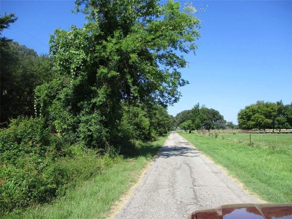 17.53 acres in Rains County gallery image 3