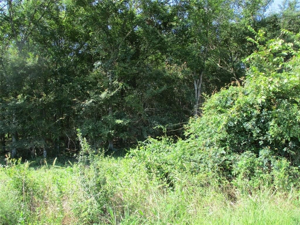 17.53 acres in Rains County
