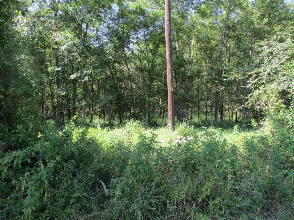 17.53 acres in Rains County featured view