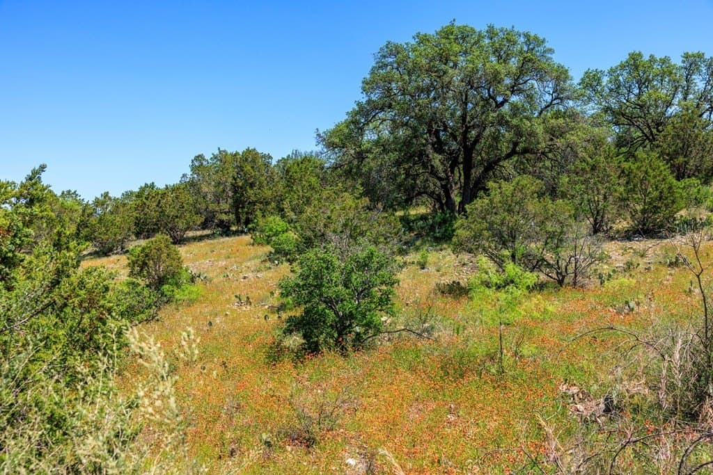 186.24 acres in Mason County - photo 52