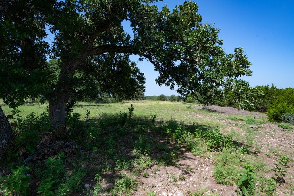 69.5 acres in Kendall County - photo 11