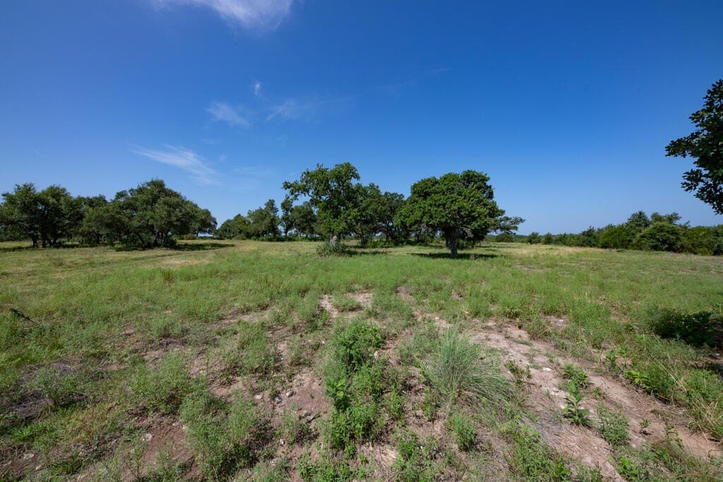 69.5 acres in Kendall County - photo 13