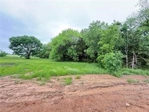 0.25 acres in Grayson County - photo 6