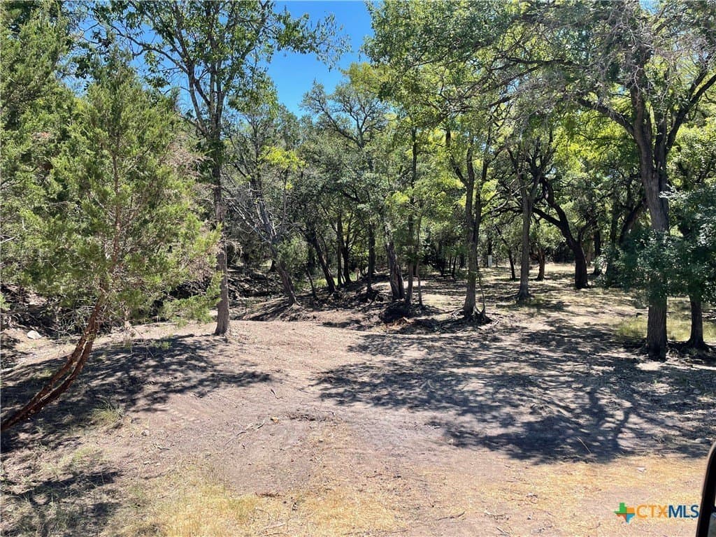 68.85 acres in Lampasas County - photo 6