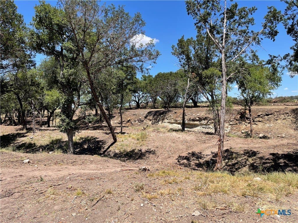 68.85 acres in Lampasas County - photo 7