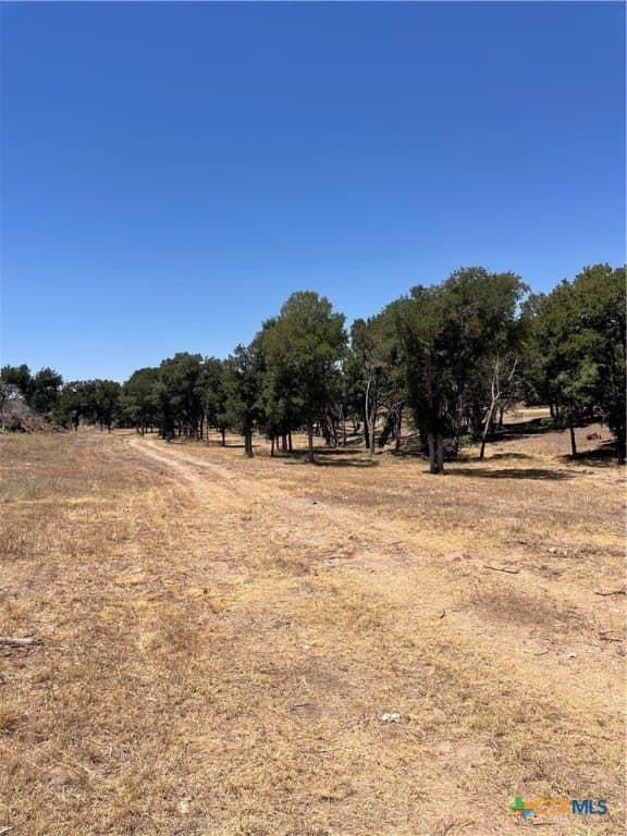 68.85 acres in Lampasas County - photo 8