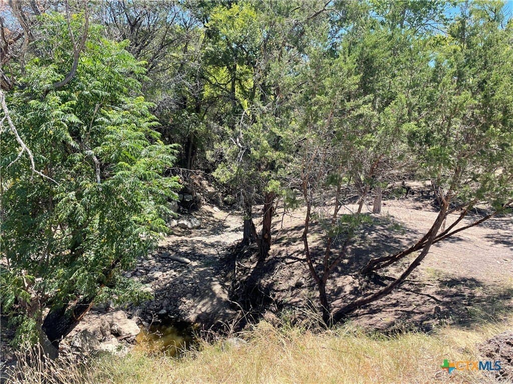 68.85 acres in Lampasas County featured view