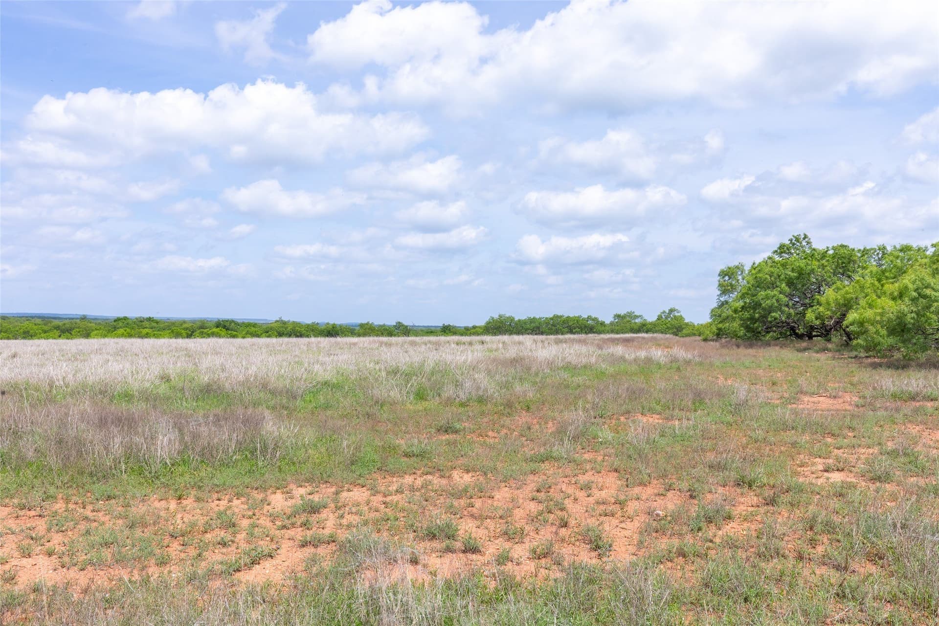 46.54 acres in Taylor County - photo 29