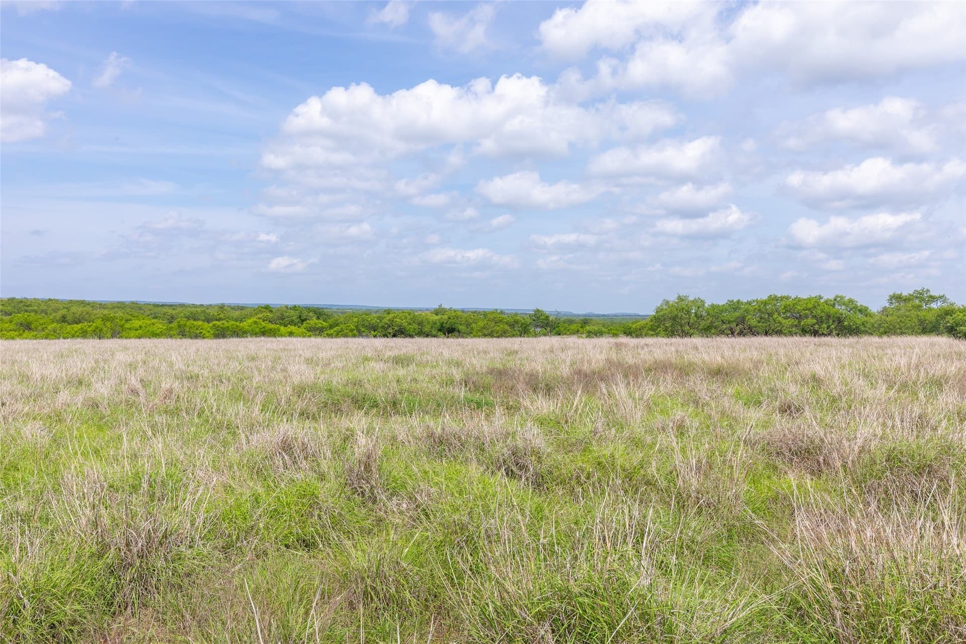 46.54 acres in Taylor County - photo 28