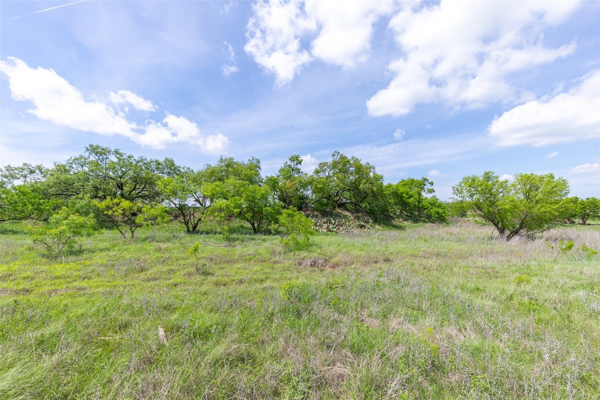 46.54 acres in Taylor County - photo 22