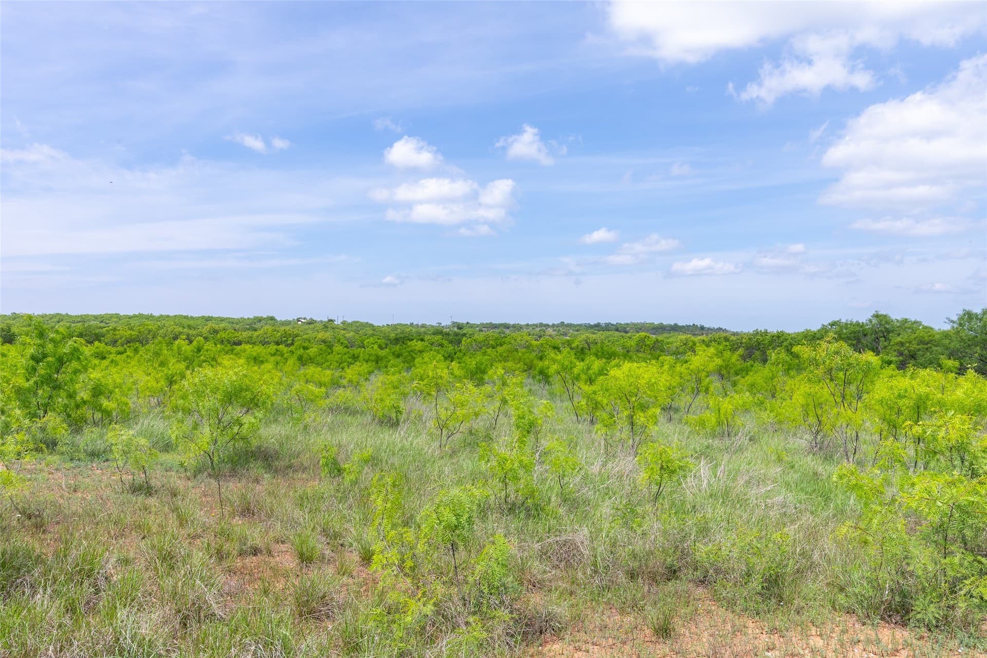 46.54 acres in Taylor County - photo 23