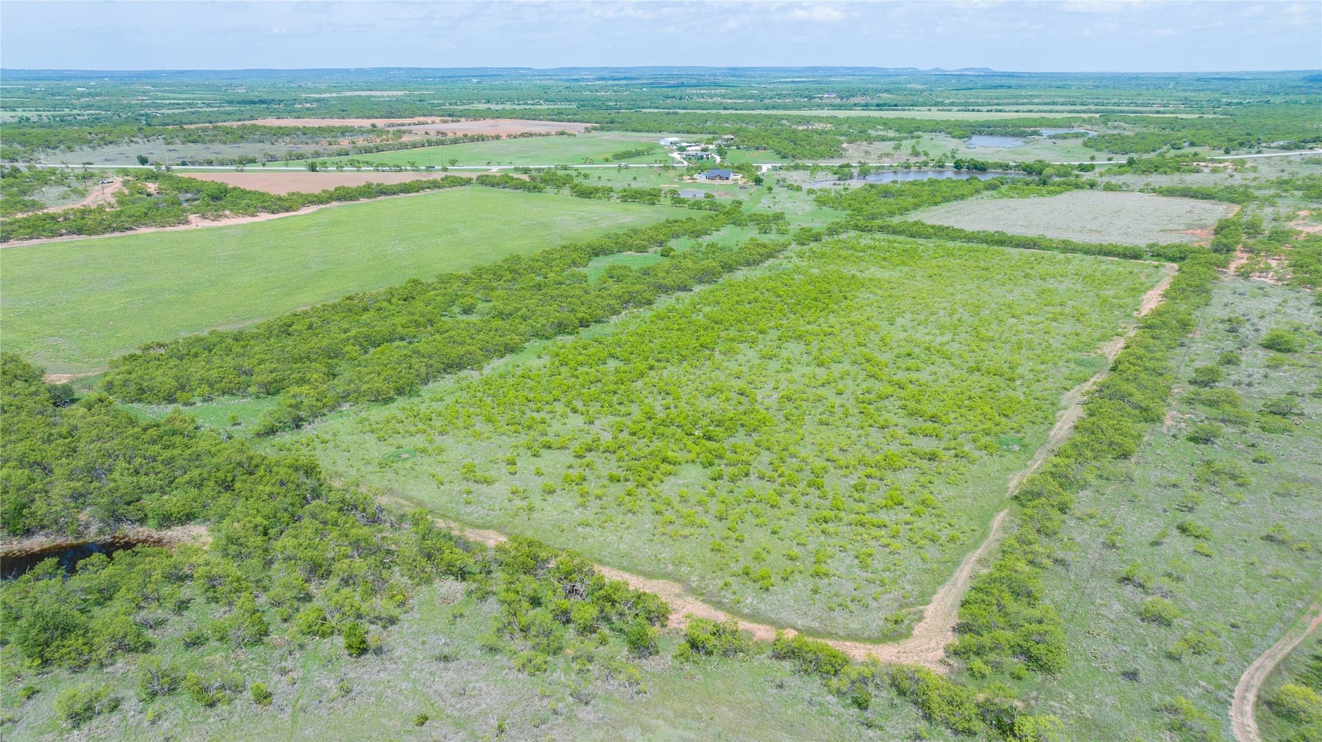 46.54 acres in Taylor County - photo 12