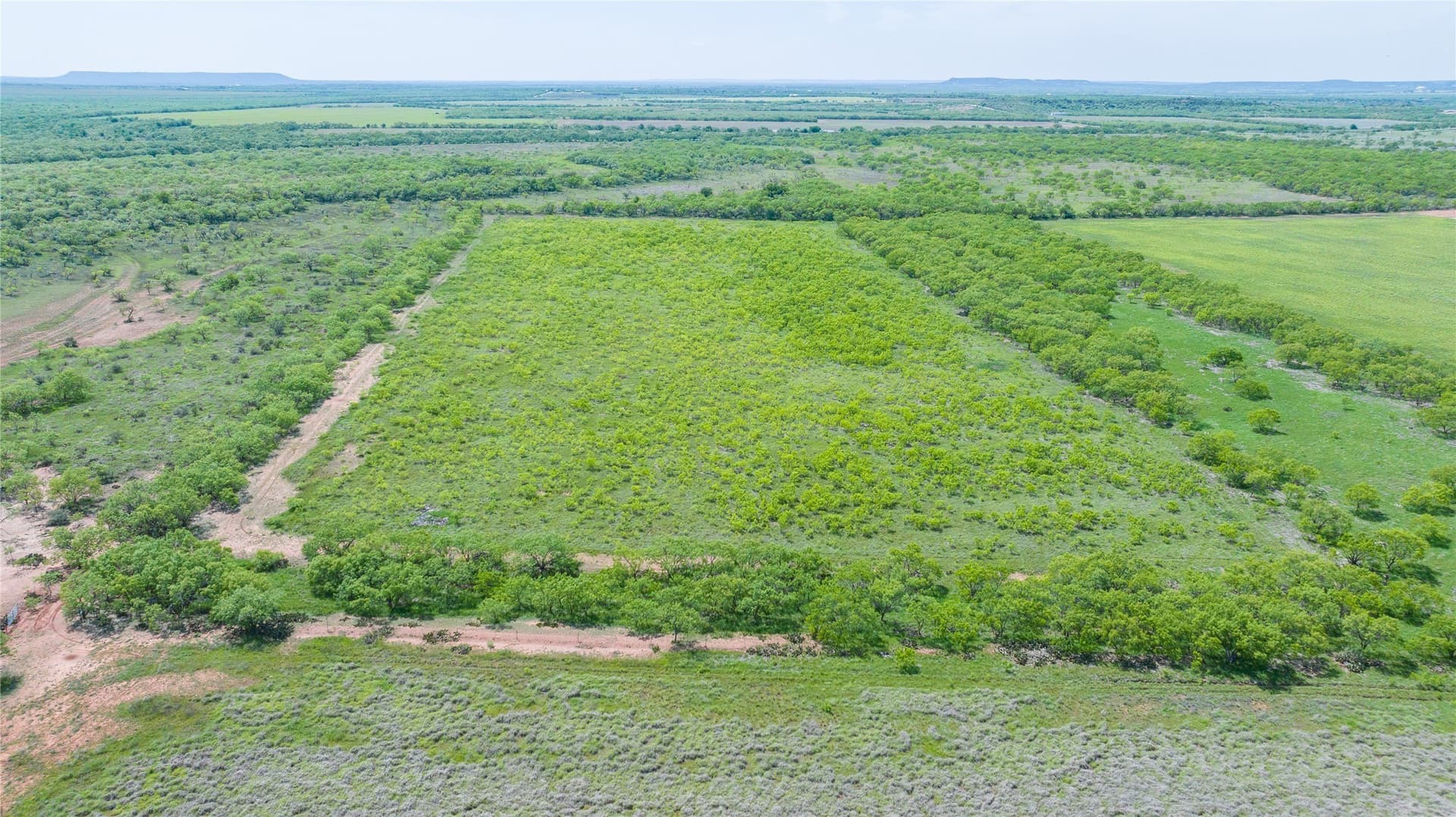 46.54 acres in Taylor County - photo 11