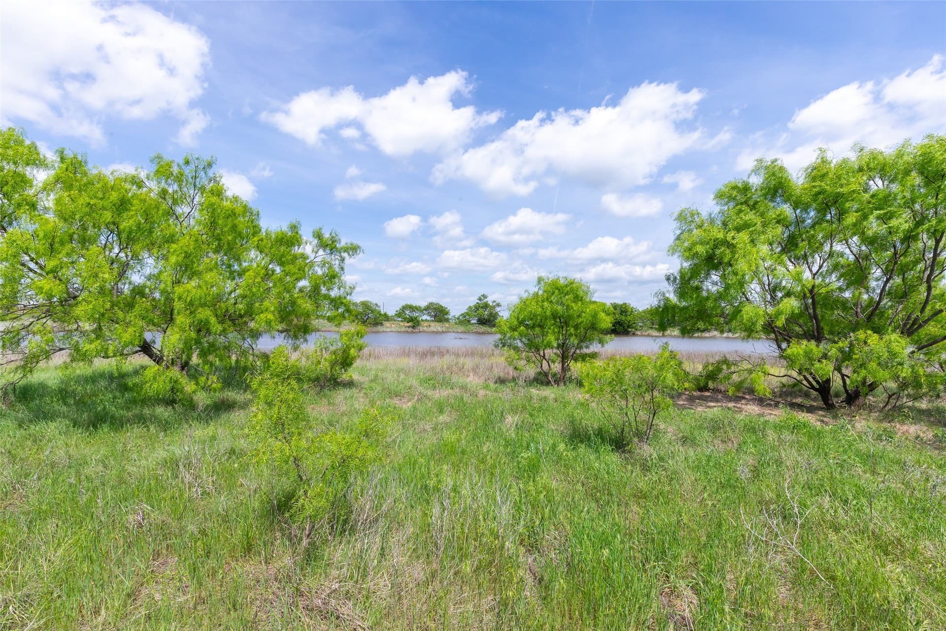 46.54 acres in Taylor County - photo 26