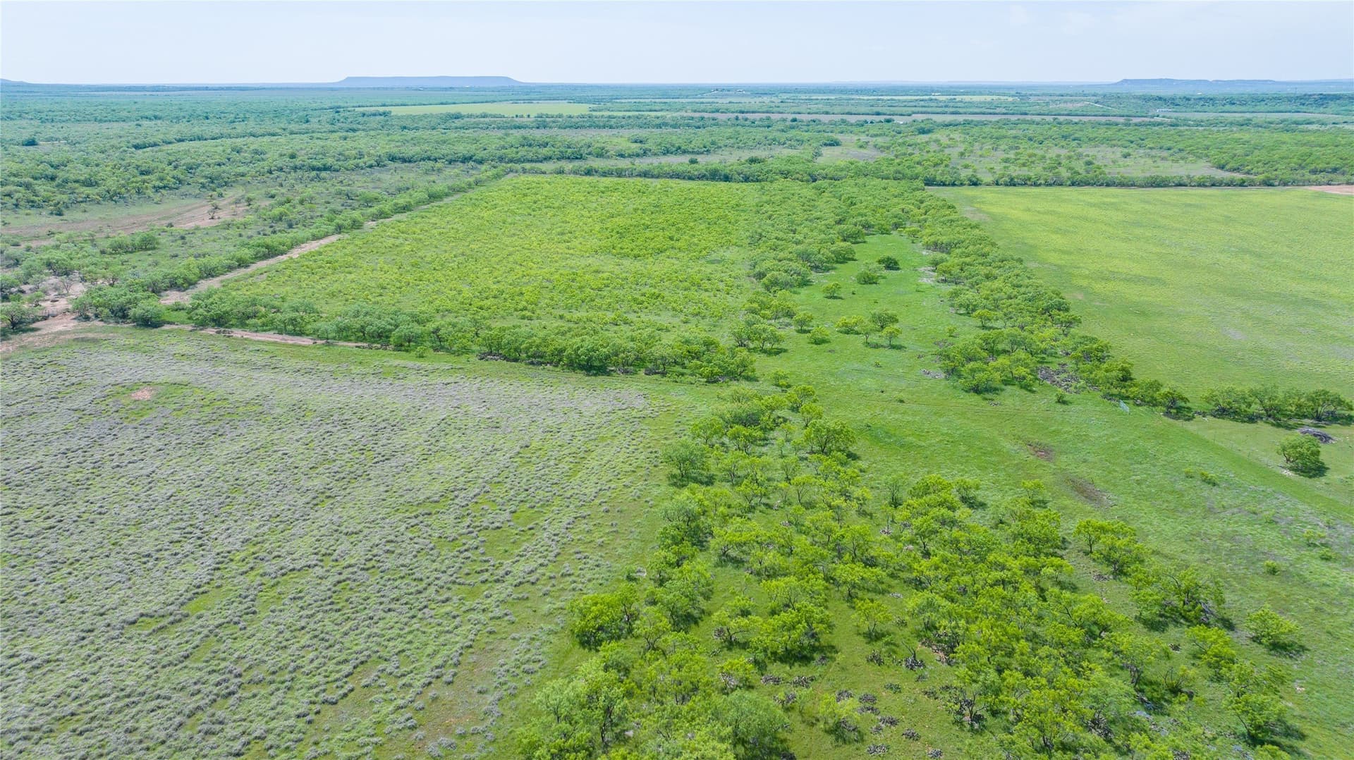 46.54 acres in Taylor County - photo 10