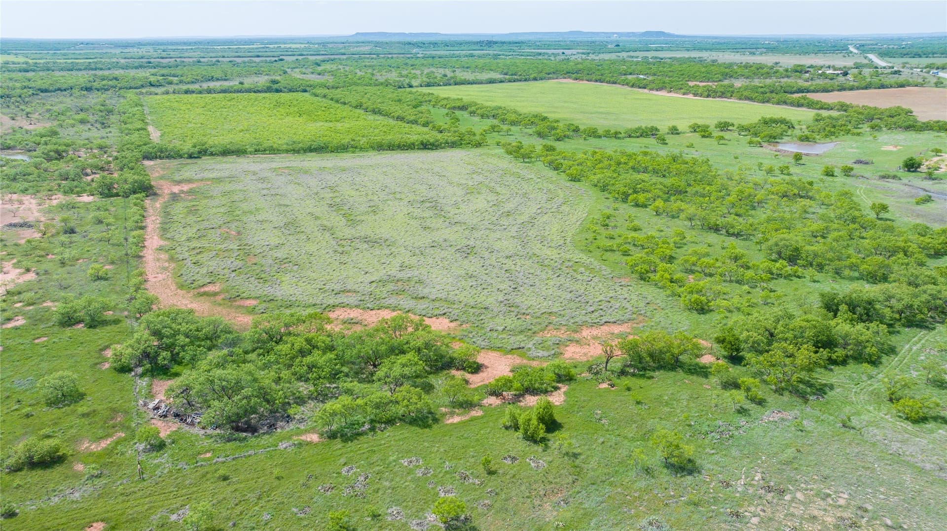46.54 acres in Taylor County - photo 15