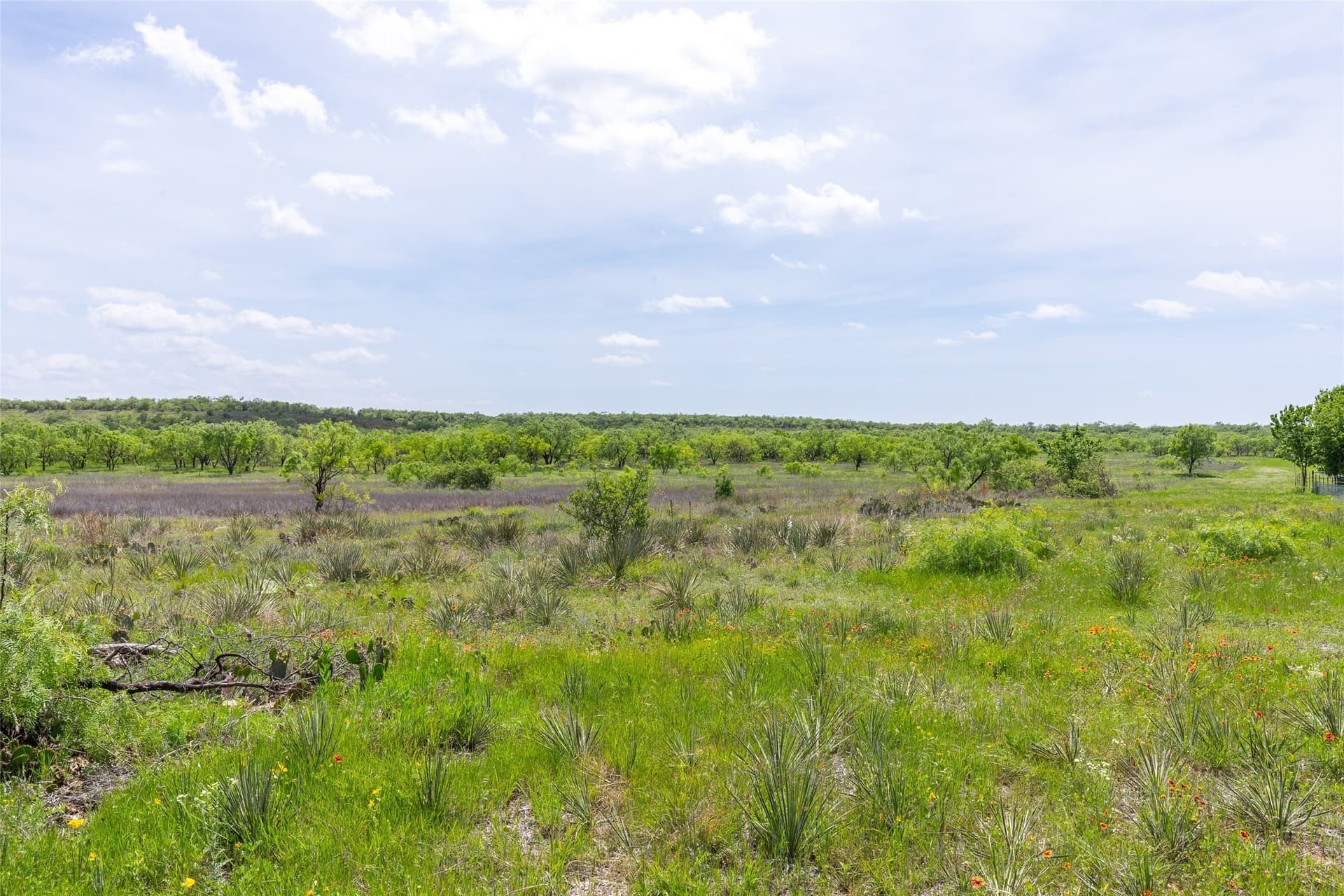 46.54 acres in Taylor County - photo 21