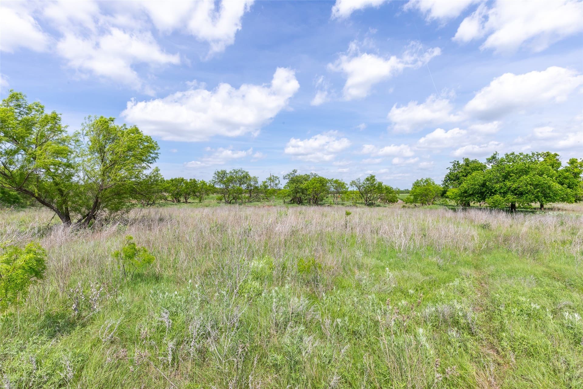46.54 acres in Taylor County - photo 25