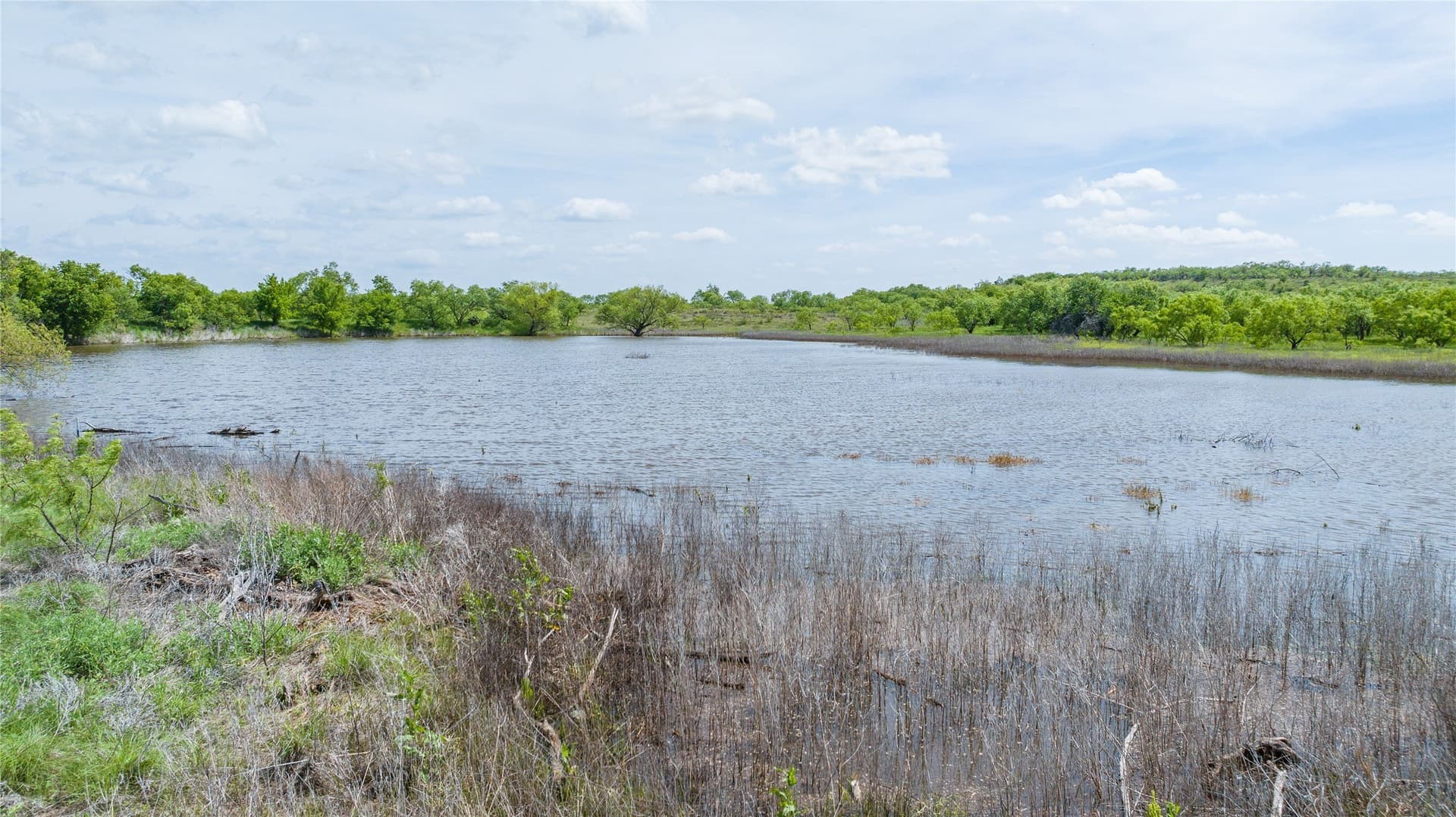46.54 acres in Taylor County - photo 8