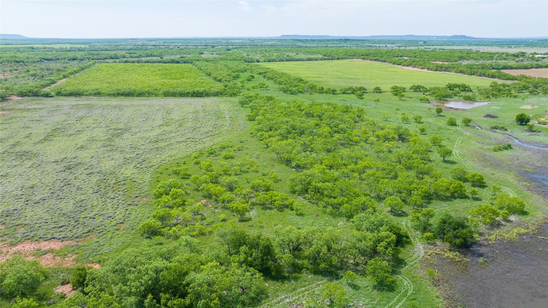 46.54 acres in Taylor County - photo 16