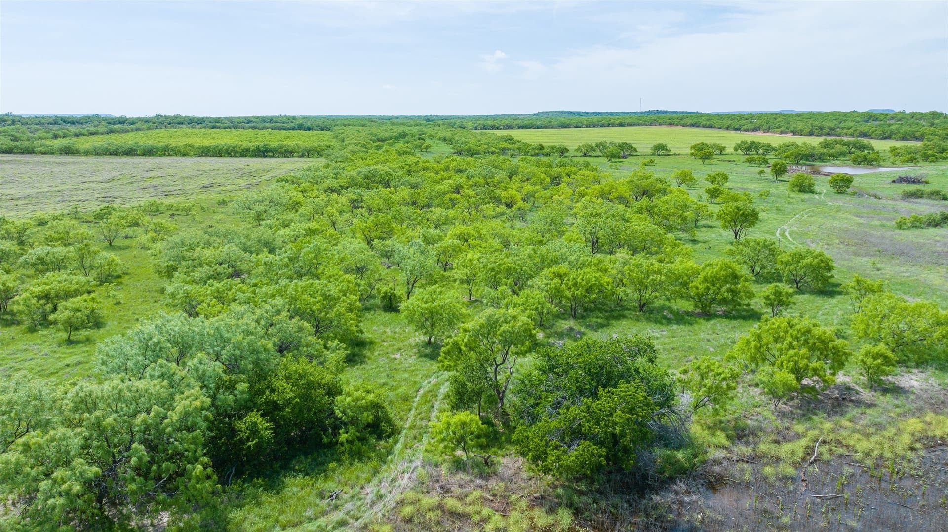 46.54 acres in Taylor County - photo 20