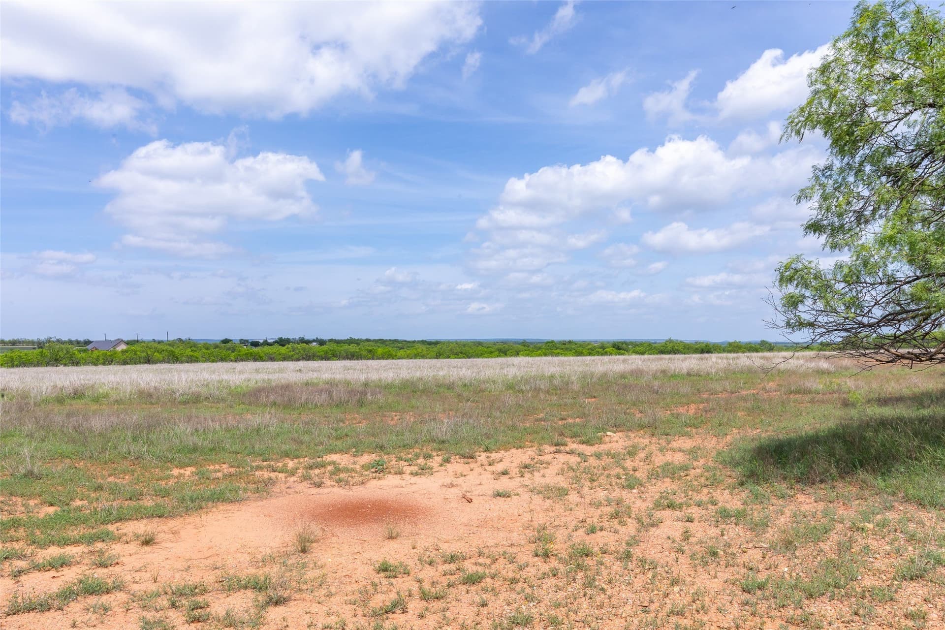 46.54 acres in Taylor County - photo 13