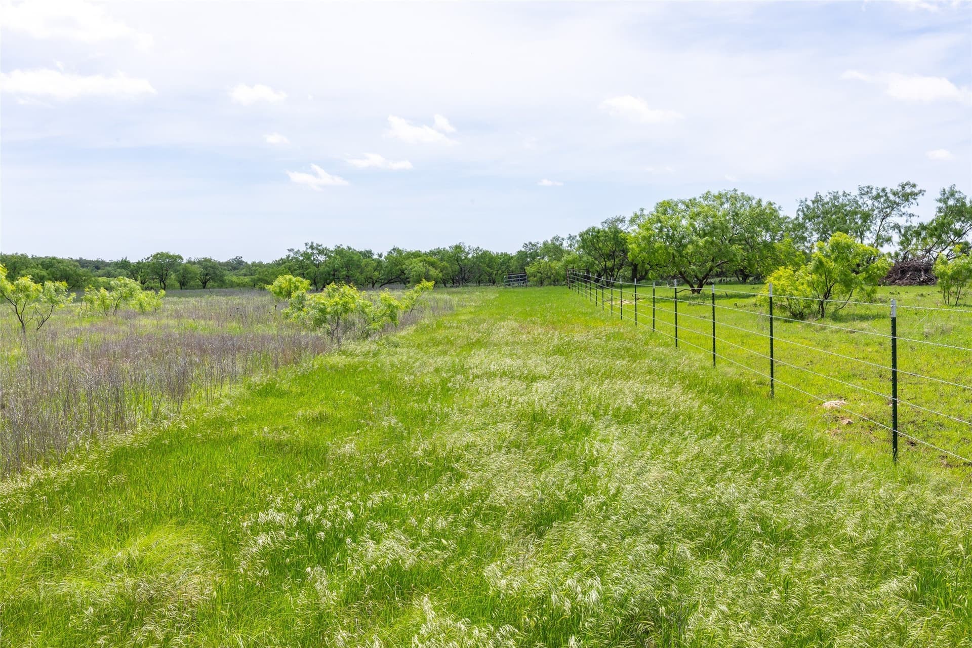 46.54 acres in Taylor County - photo 6