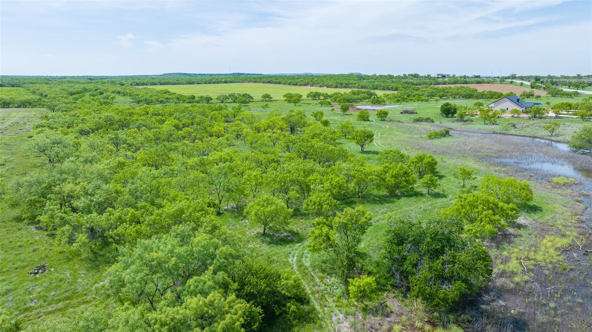 46.54 acres in Taylor County - photo 19