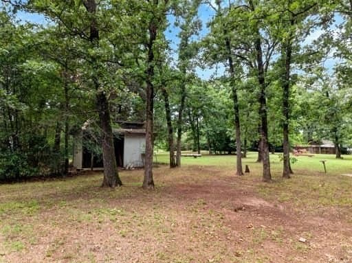 0.2 acres in Henderson County - photo 6