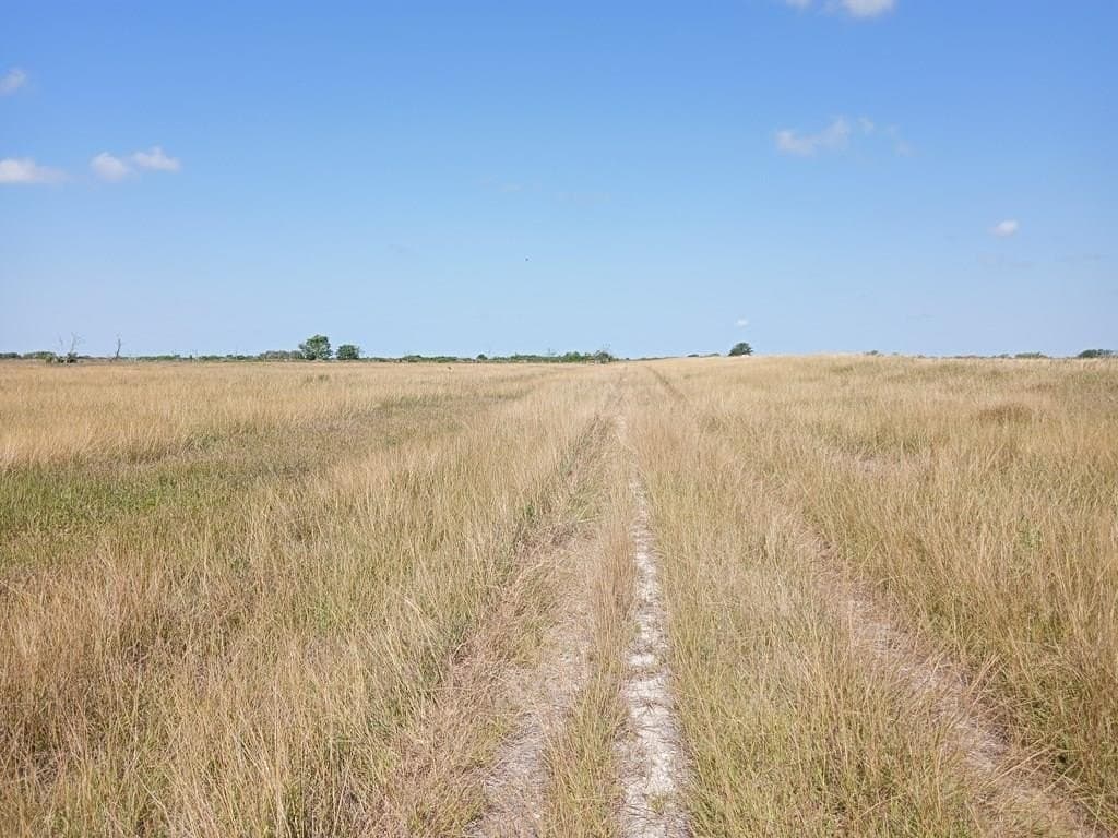 10 acres in Blessing Area County