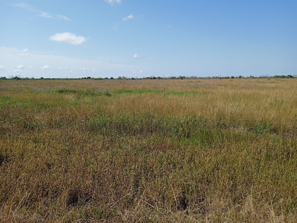 10 acres in Blessing Area County - photo 3