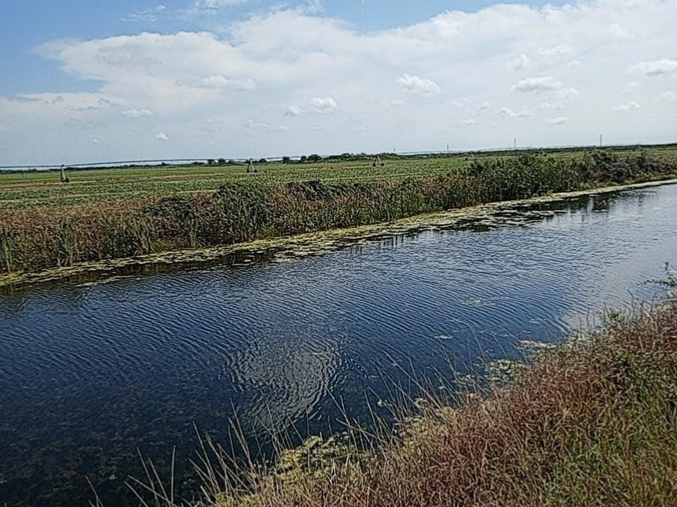 10 acres in Blessing Area County - photo 2