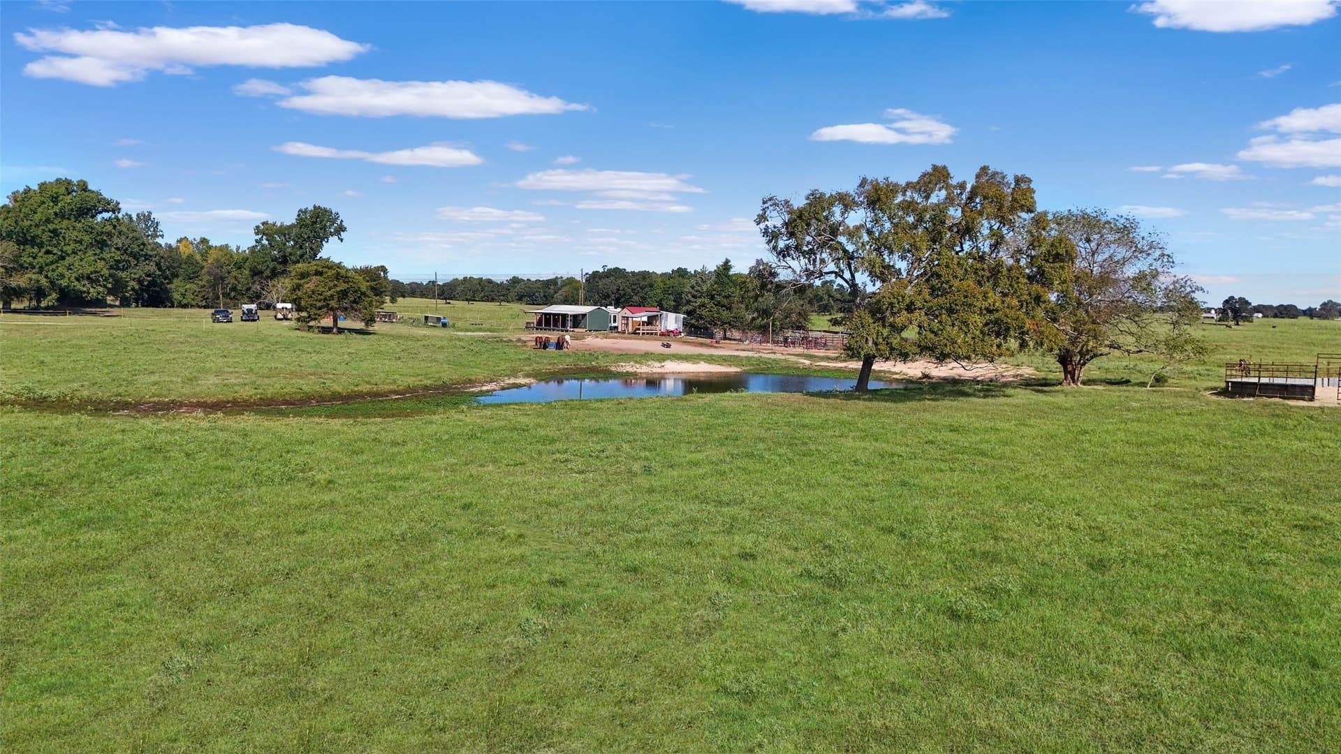 8 acres in Titus County gallery image 3