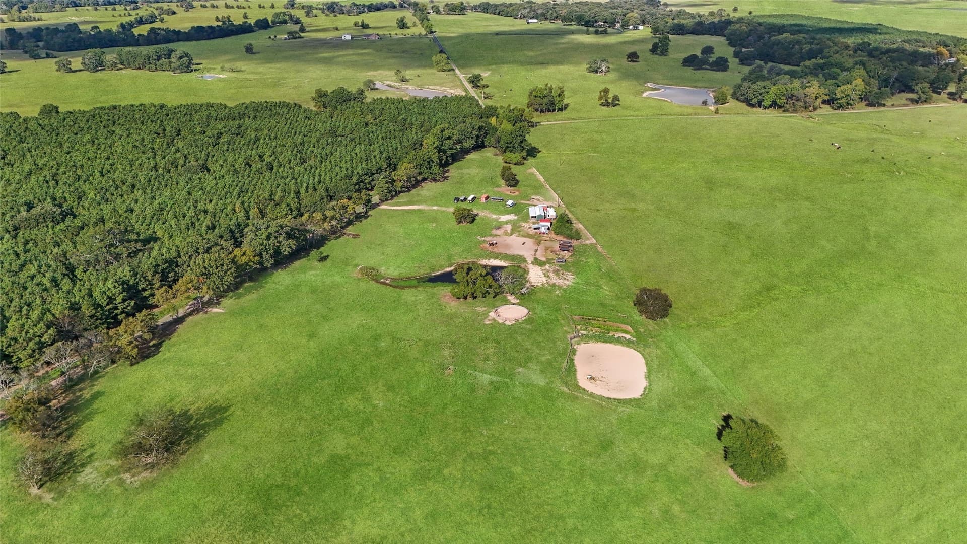 8 acres in Titus County