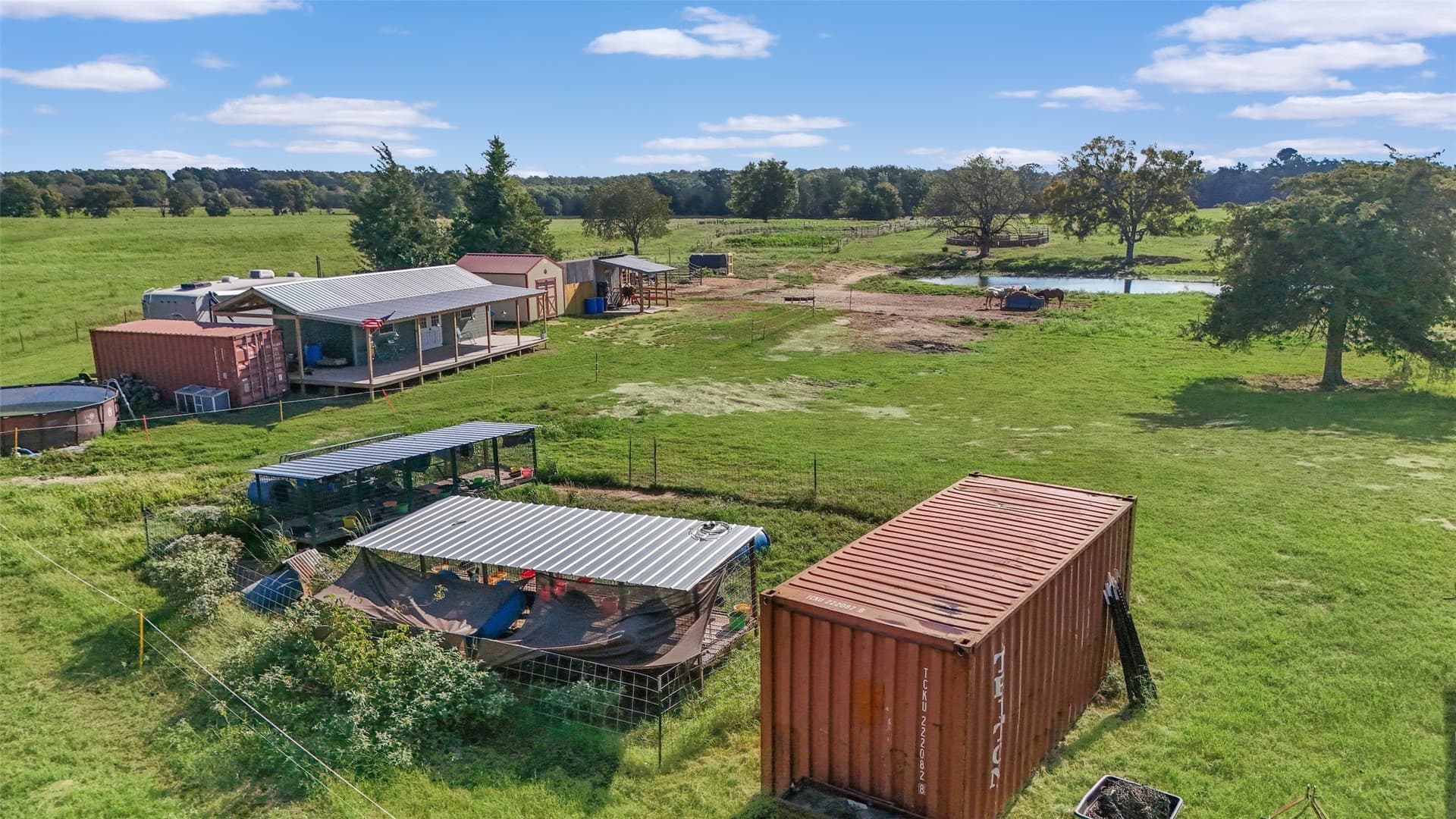 8 acres in Titus County gallery image 4