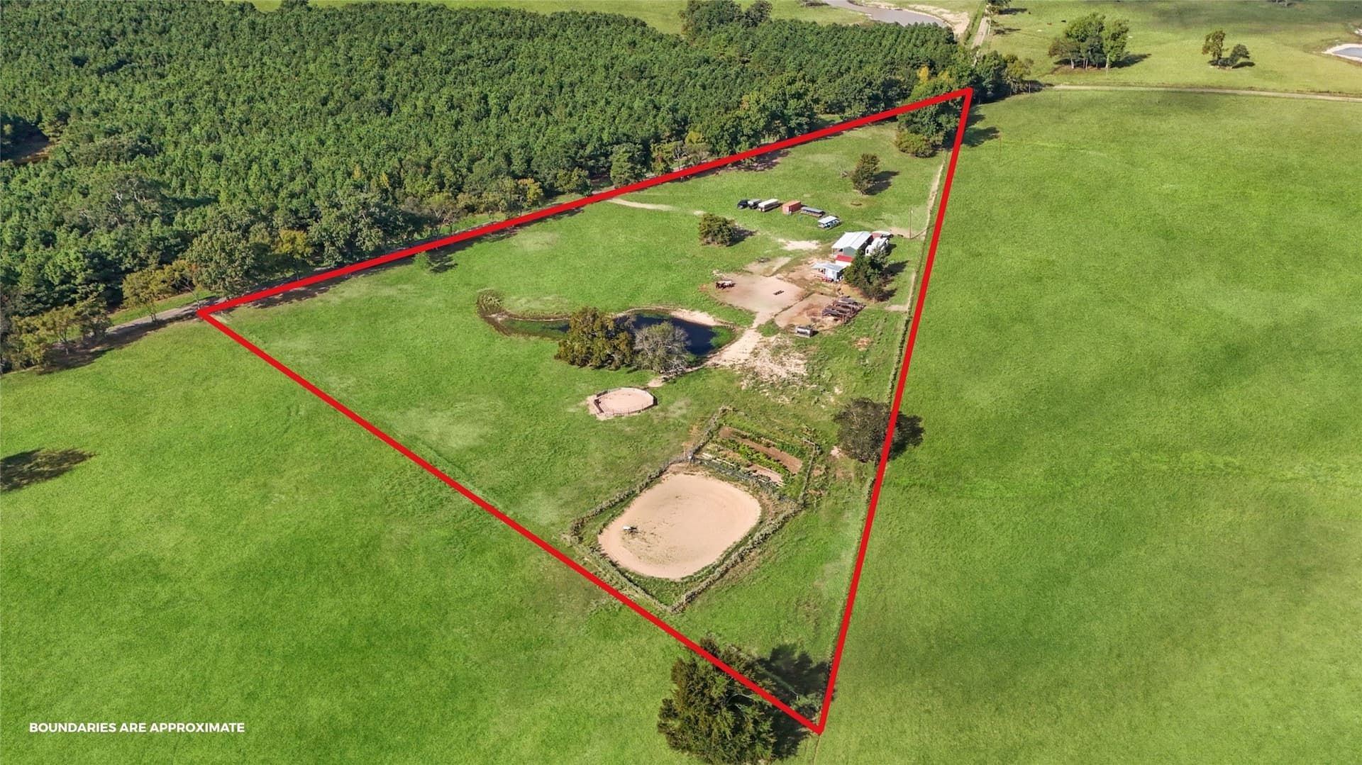 8 acres in Titus County gallery image 2