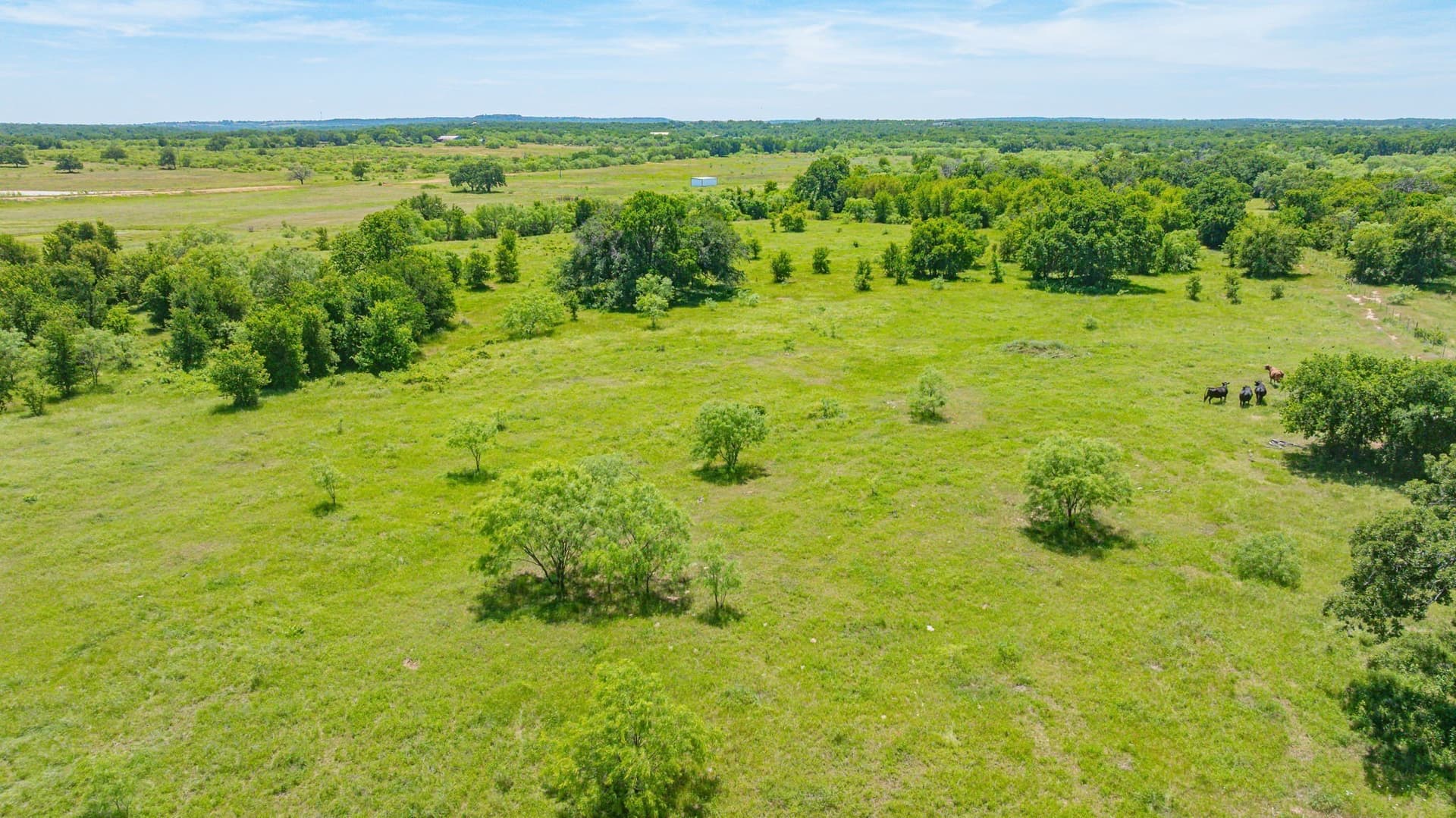 64.33 acres in Palo Pinto County - photo 10