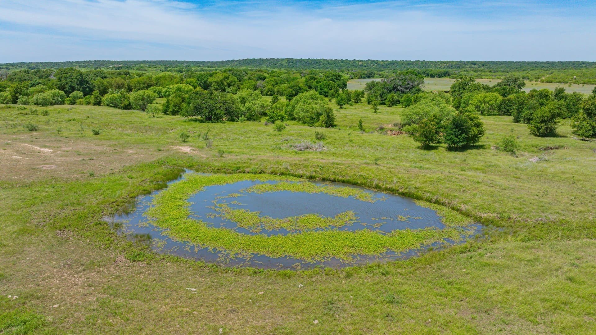 64.33 acres in Palo Pinto County - photo 8