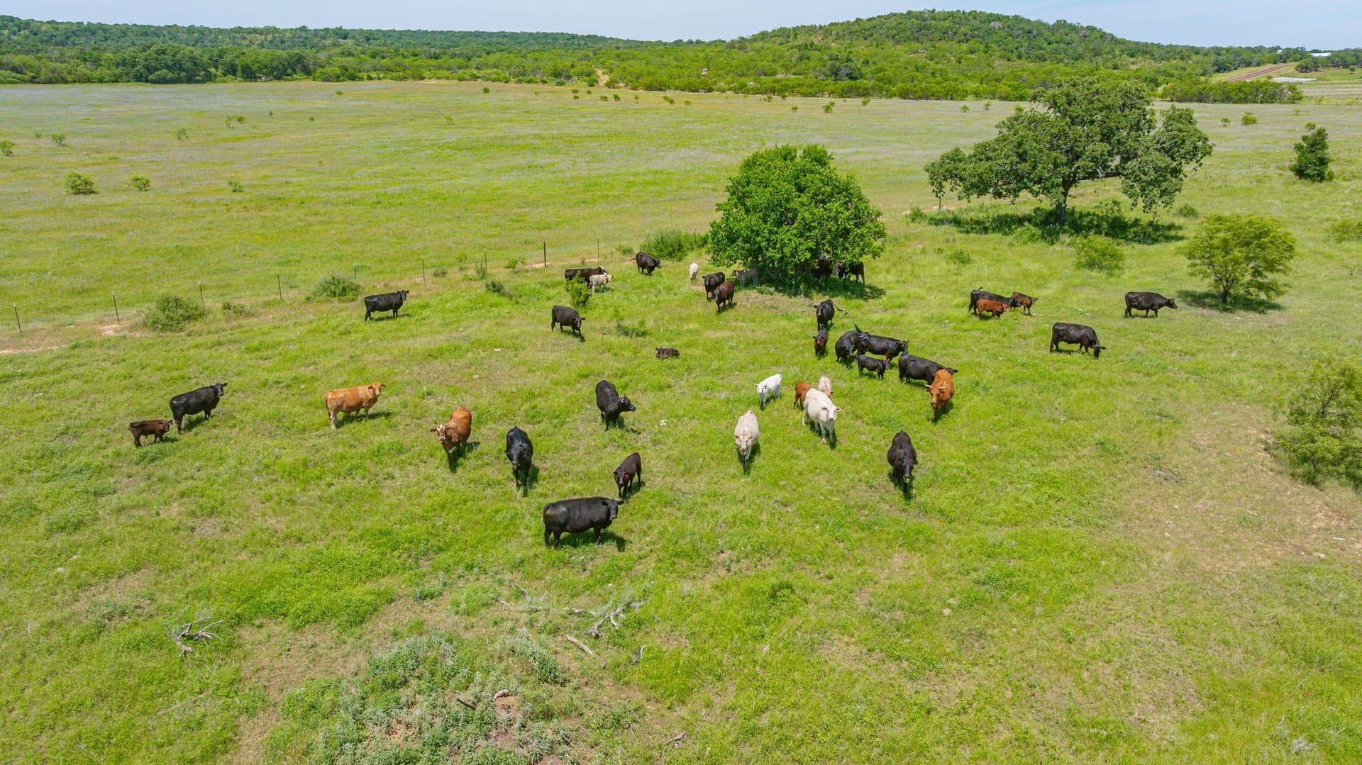 64.33 acres in Palo Pinto County - photo 11