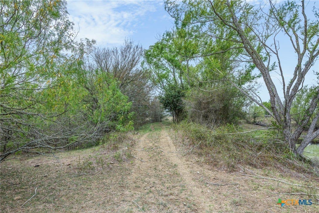 19 acres in Bastrop County - photo 32