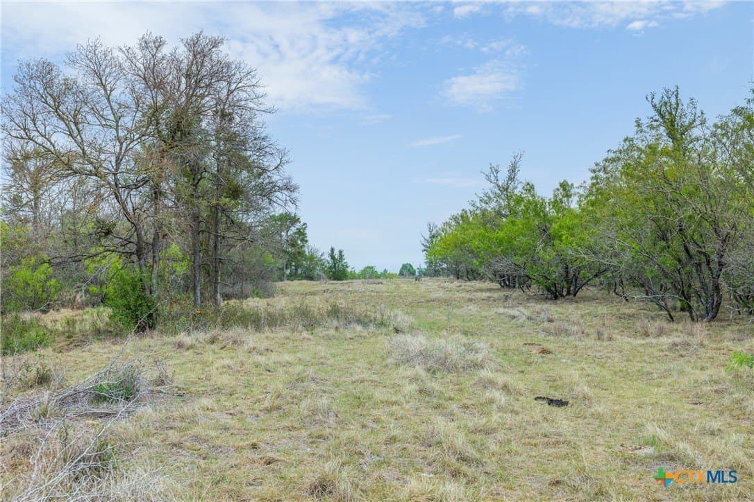 19 acres in Bastrop County - photo 33