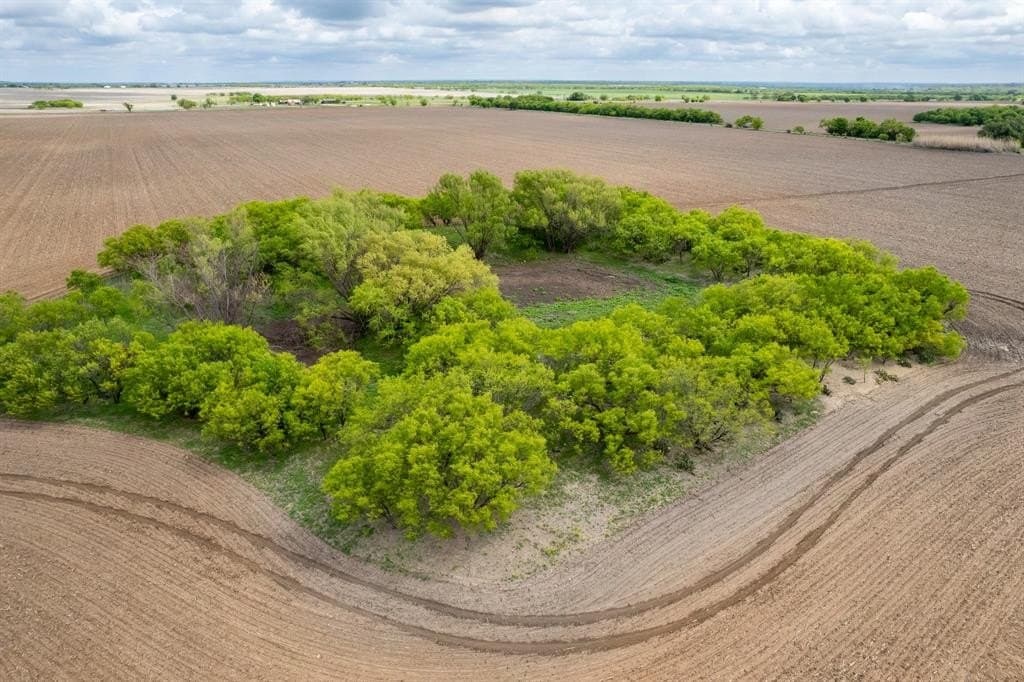 249.37 acres in Coleman County