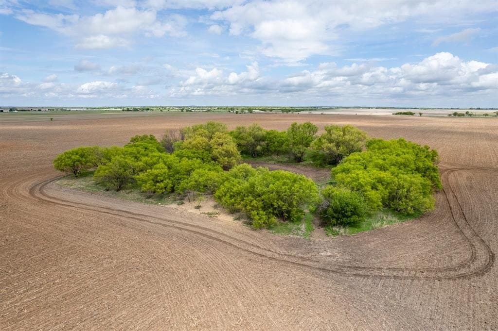 249.37 acres in Coleman County gallery image 4